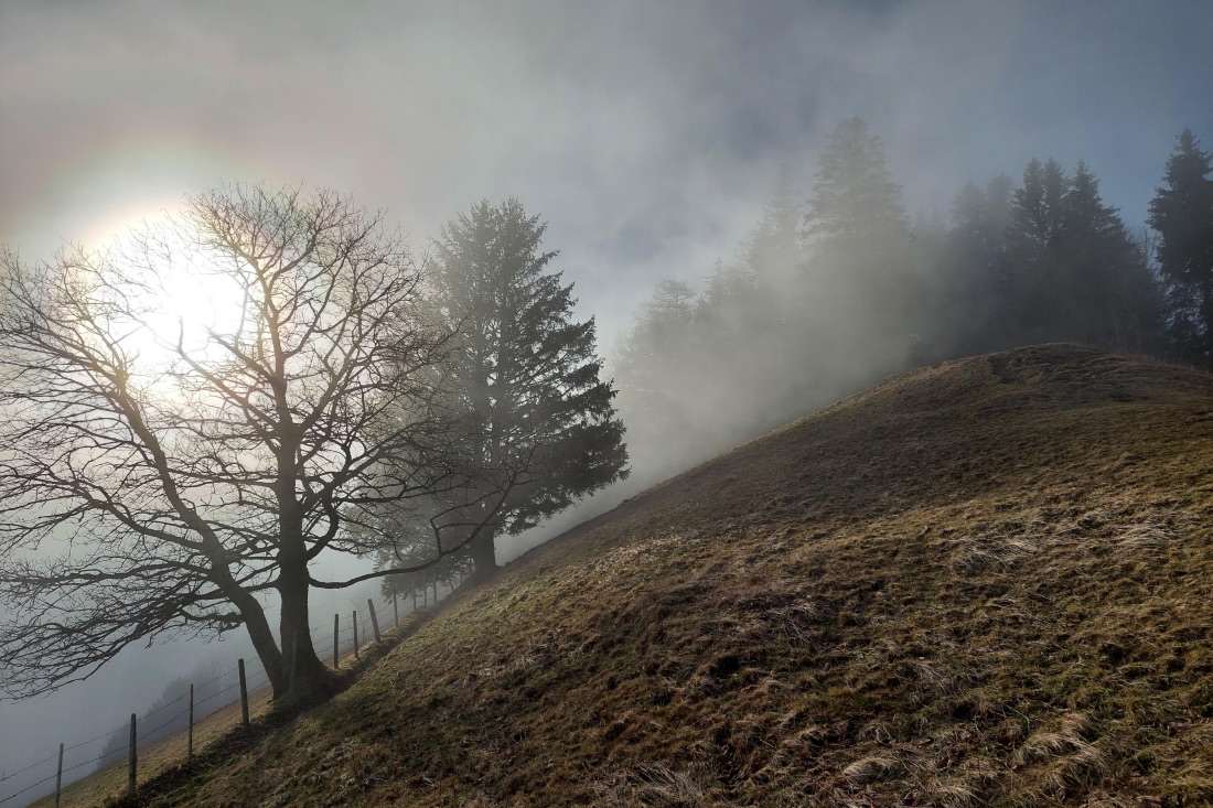 Guggershörnli im Nebel