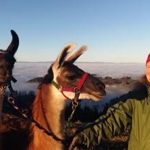 Lamatrekkings im Naturpark Gantrisch
