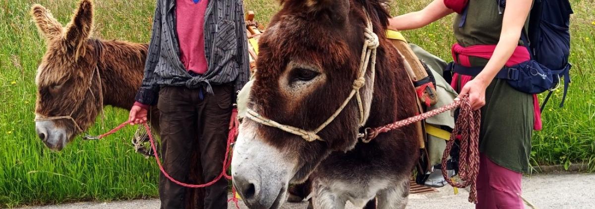 Esel-Trekking im Naturpark Gantrisch am 05.10.2024